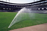 irrigation